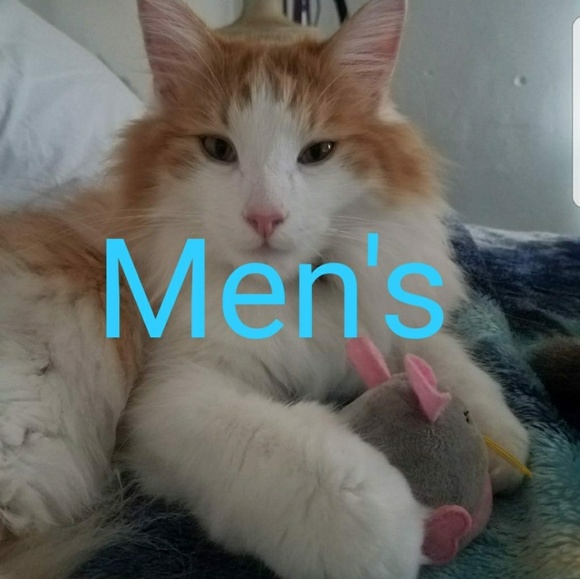 Men's clothing
